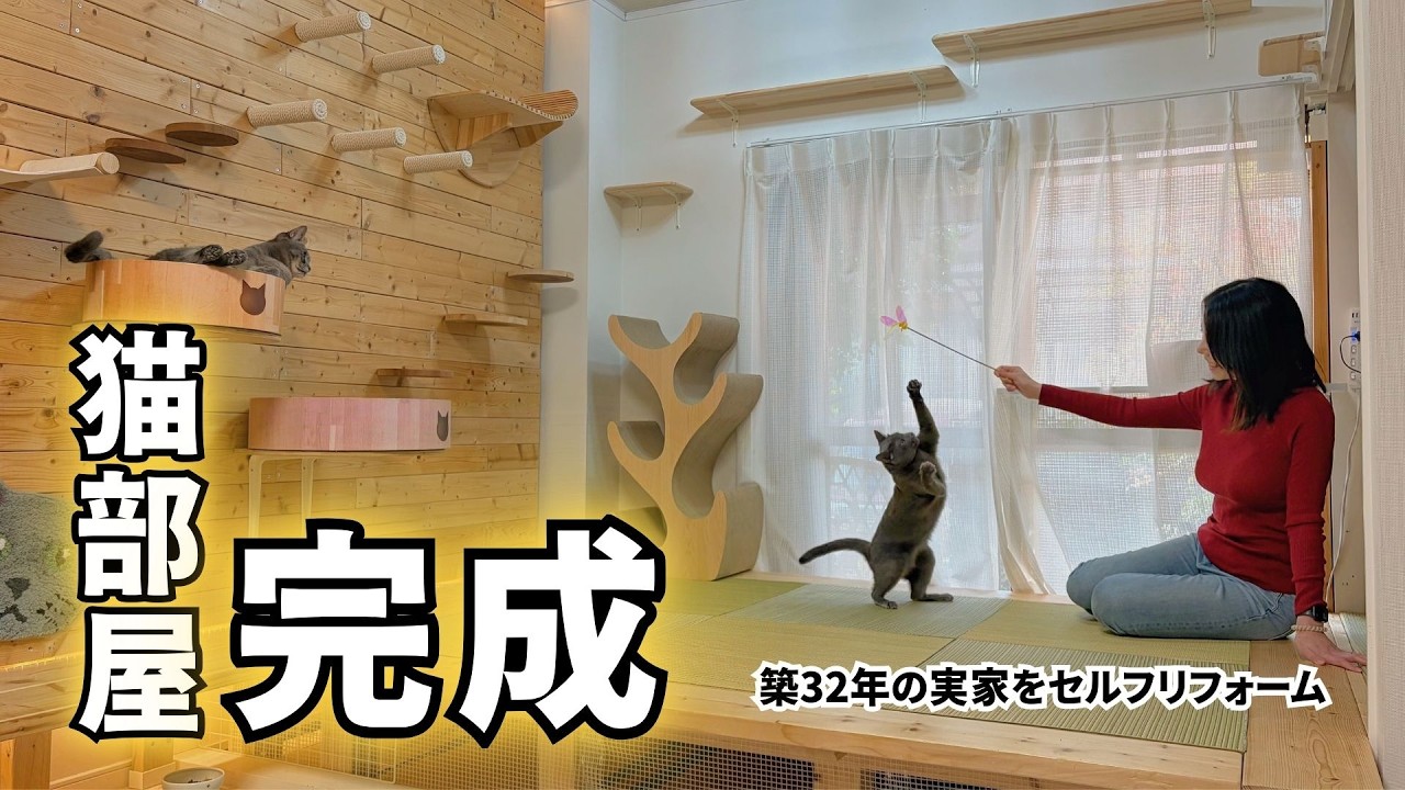 【実家を猫部屋計画】ついに完成！30万円で築32年実家のリビングを猫部屋にセルフリフォーム！劇的ビフォーアフター！