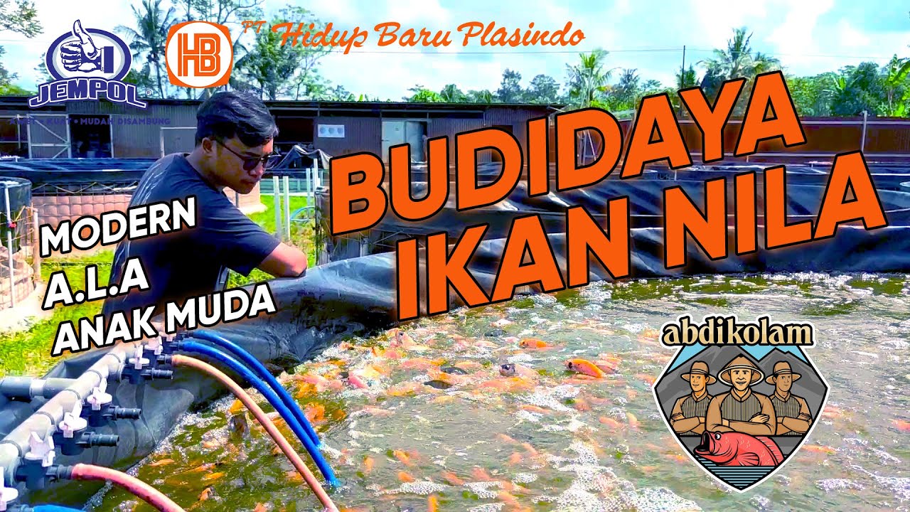 【JEMPOL】- TIPS BUDIDAYA PADAT TEBAR, SISTEM BIOFLOK , KOLAM NILA INTENSIF YOGYAKARTA