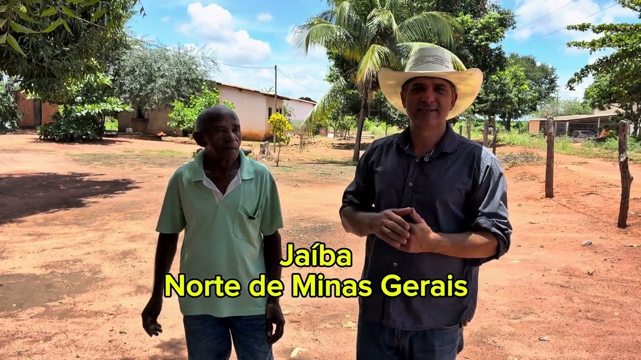 VAI VENDER RÁPIDO. SÍTIO RICO EM ÁGUA E FRUTAS. 230.000 JAÍBA-MG