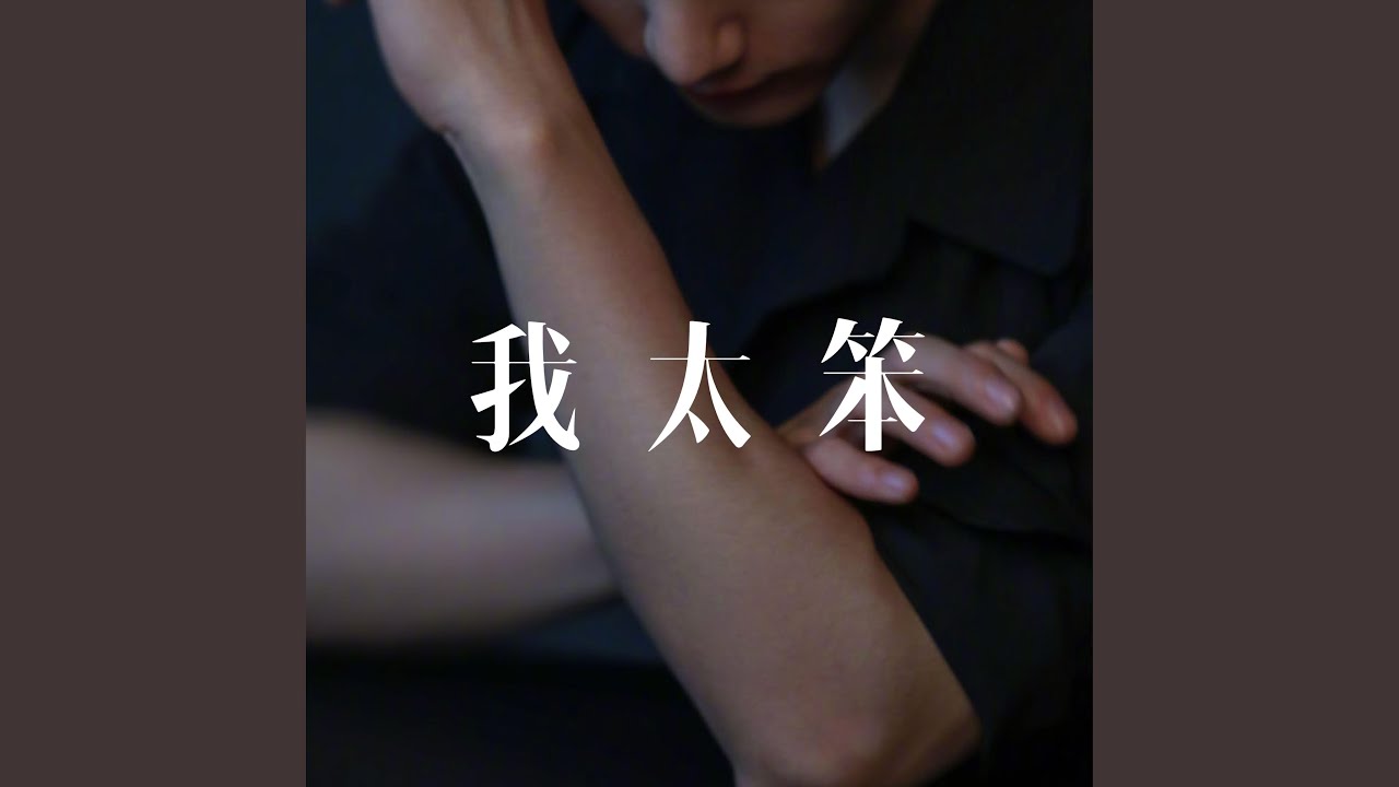 我太笨