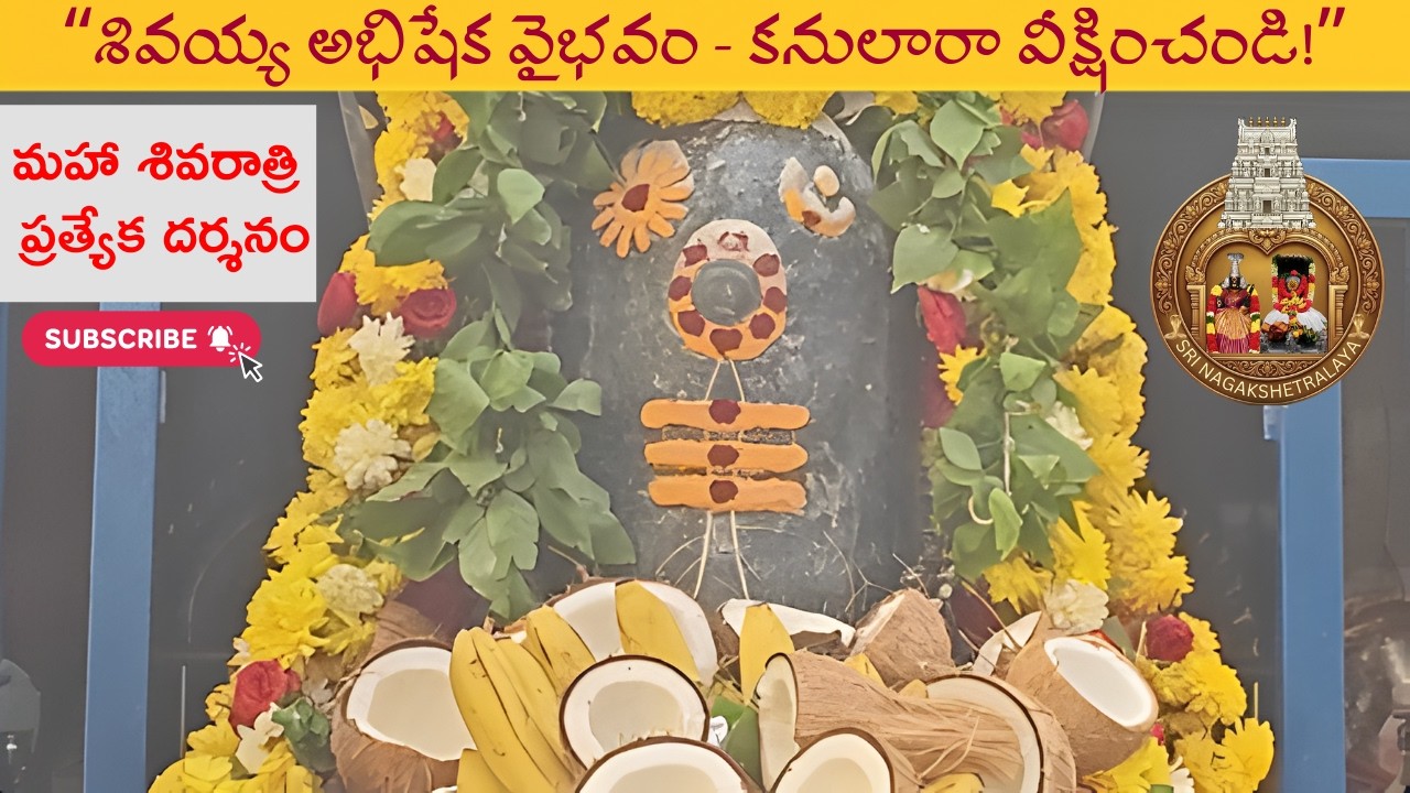 శ్రీ చెల్లత్తాయ్ అమ్మన్  చె మహా శివరాత్రి ప్రత్యేక పూజలు #sivaratri #srikalahasti #chellathaiamman