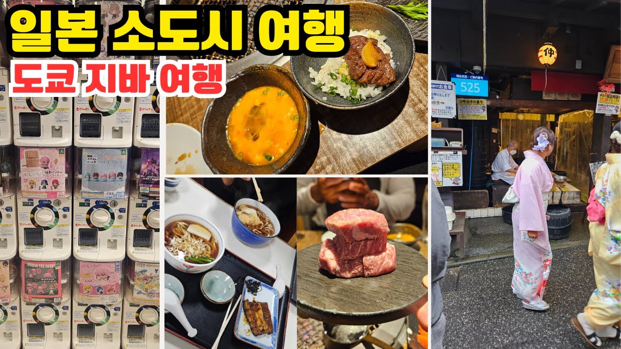 일본 소도시 여행. 도쿄 지바여행/tokyo trip (지바역 맛집,숙소)