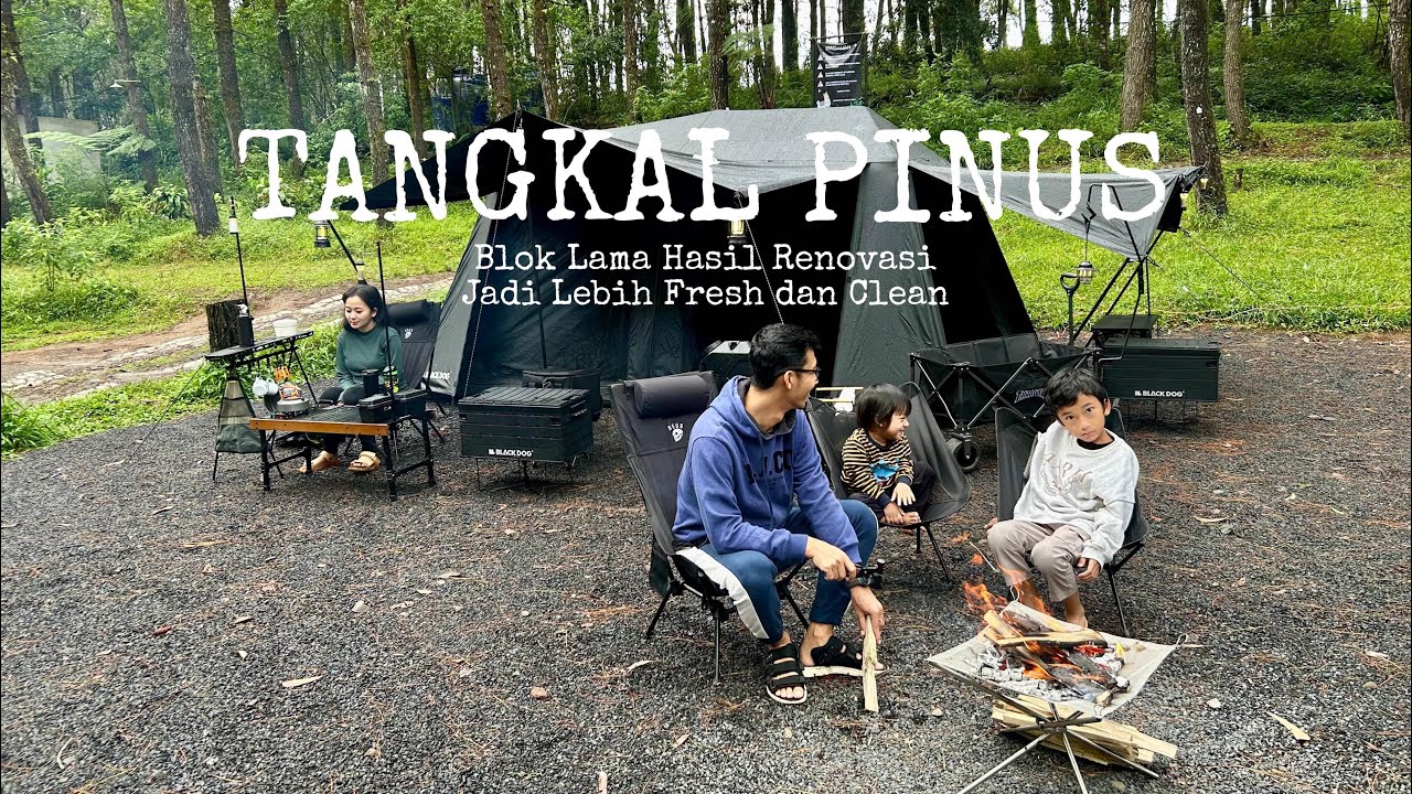 Blok Lama Hasil Renov Lebih Fresh dan Clean | Tangkal Pinus Bandung | Blackdog Cinema V2