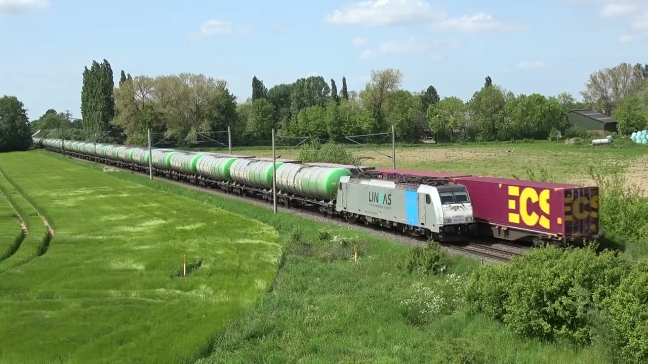 (D) Praest 17-05-2023