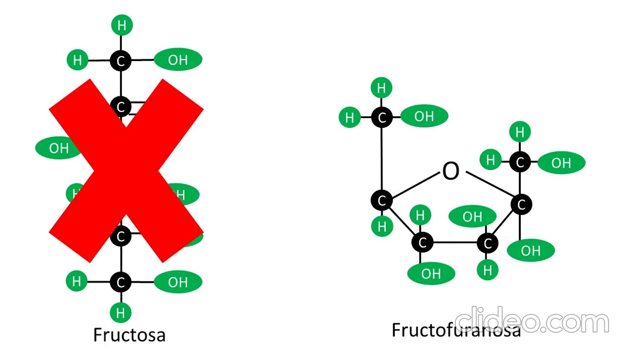 Carbohidratos aldosas y cetosas estructura de los monosacaridos