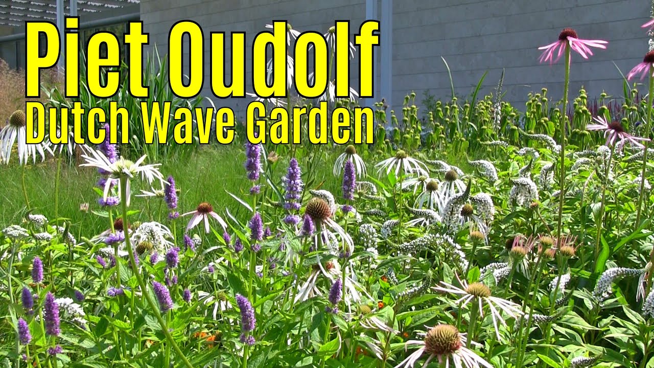 Piet Oudolf -Dutch Wave Garden - Voorlinden - Wassenaar augustus 2025