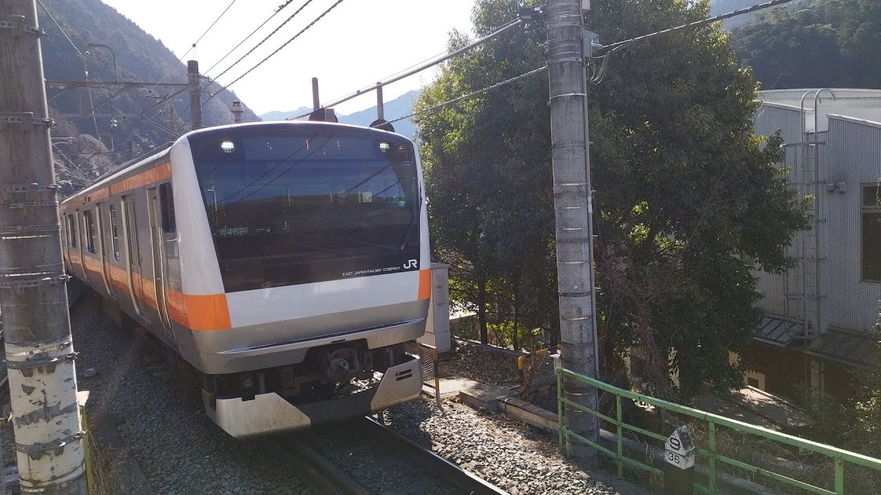 811 E233系 青462編成 各駅停車奥多摩行が奥多摩駅1番線に入線するシーン