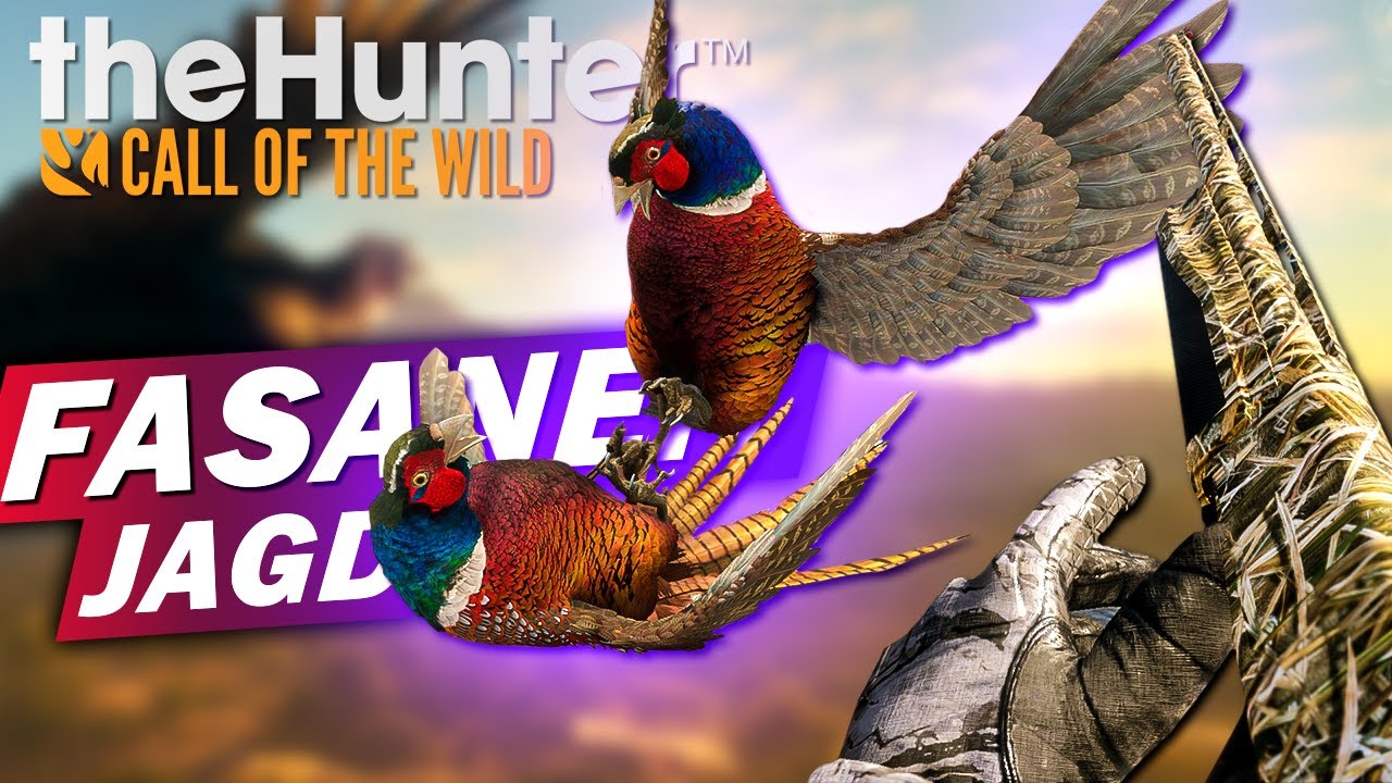 Fasanenjagd! the Hunter Call of the Wild deutsch Gameplay