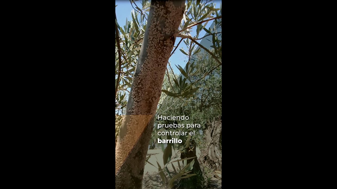 Haciendo pruebas para CONTROLAR EL BARRILLO