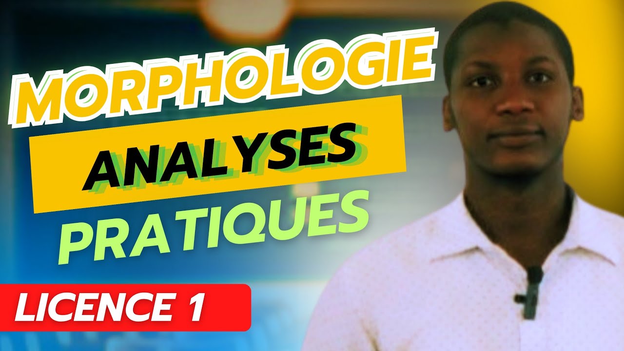 Analyses en Morphèmes :Cas pratiques