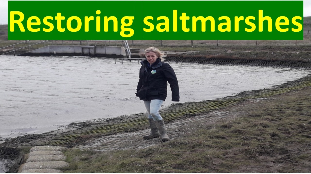 Управляемая перестройка и регулируемый приливный обмен