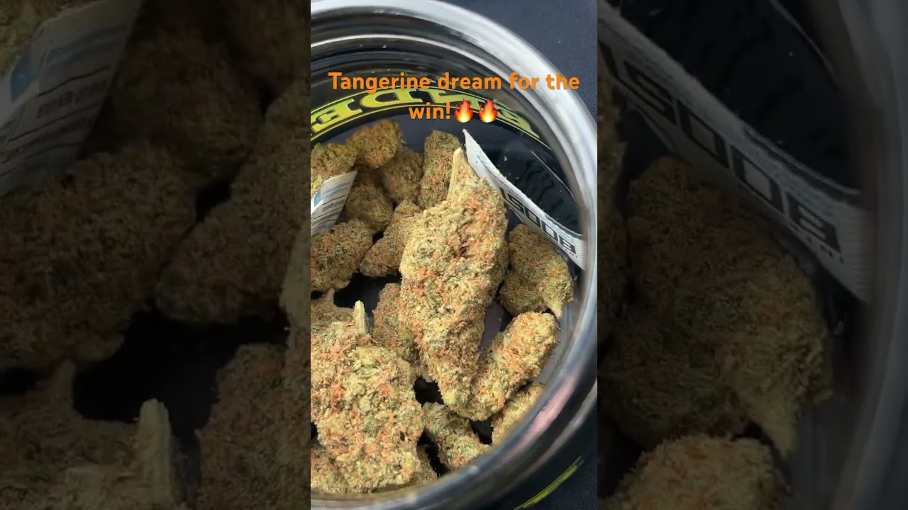 Tangerine dream strain 