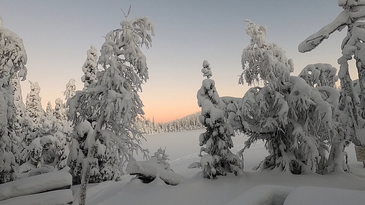NOVEMBRE IN LAPPONIA - riassunto accuratissimo