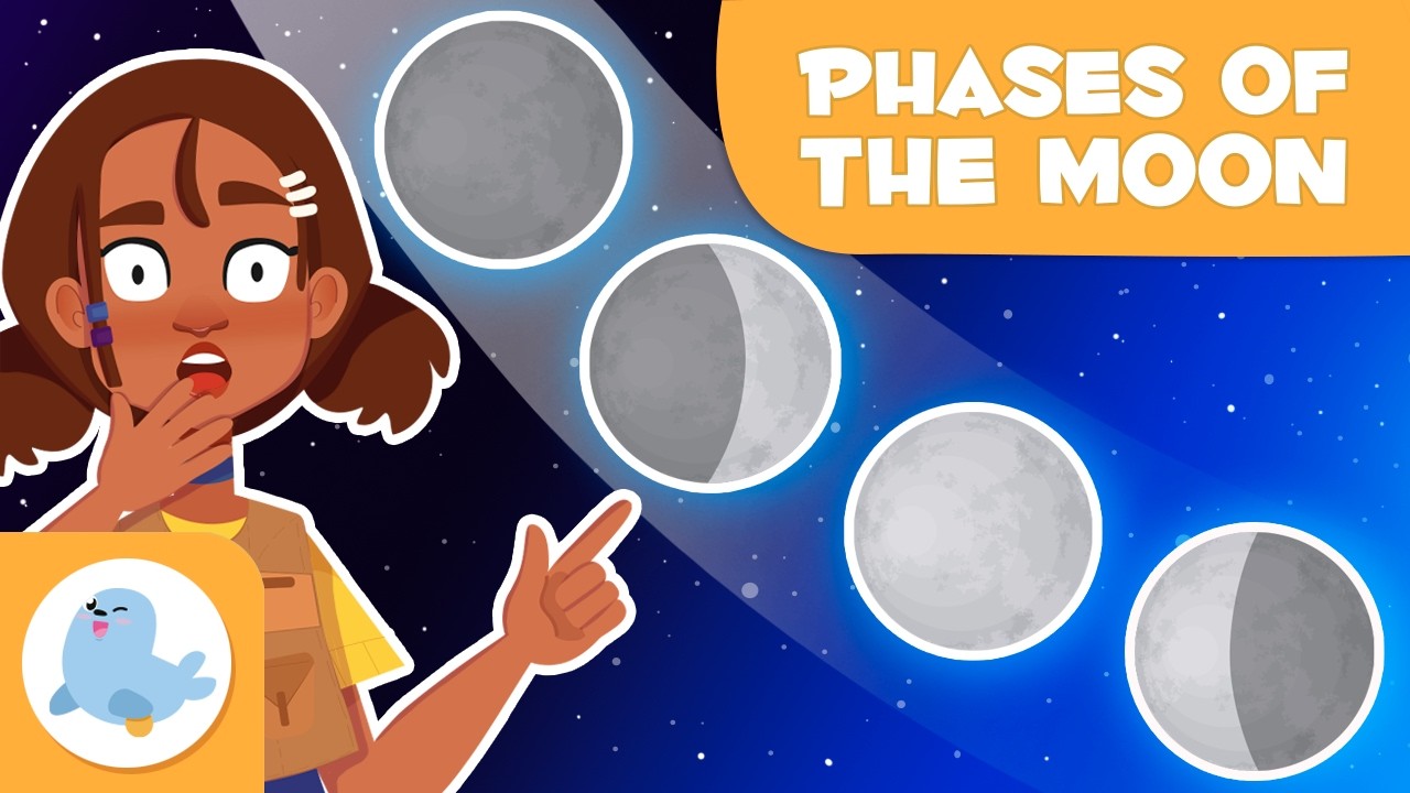 Фазы Луны для детей 🌕🌗🌘🌓 Новолуние, растущая Луна, полнолуние и убывающая Луна