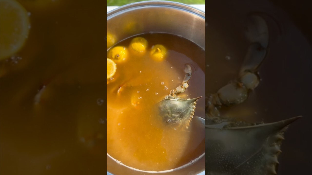 Top 3 Ways to Cook Crab 