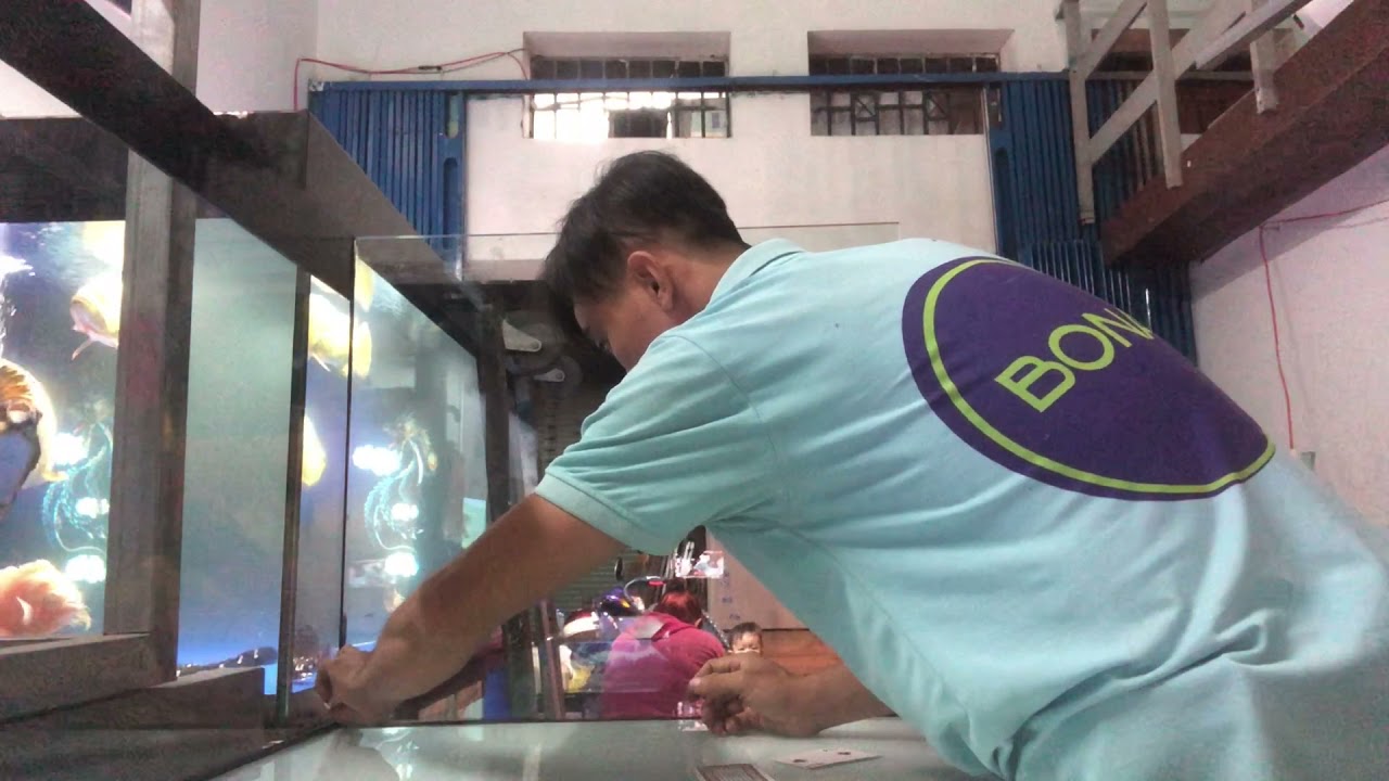 Chia sẽ cách dán 