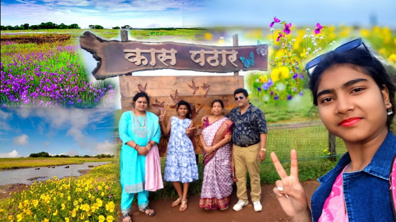 Kaas Pathar | Kaas Pathar Satara | Kaas Plateau 2025