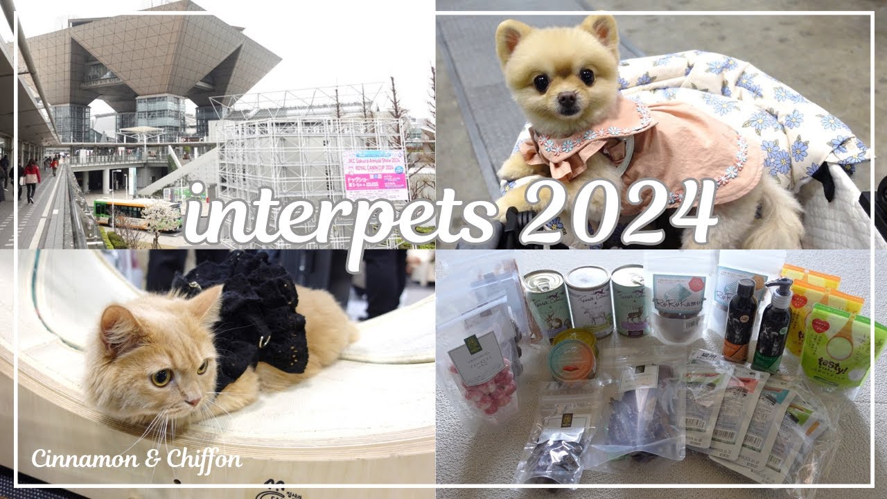 【インターペット2024】愛犬・愛猫と一緒にインターペットに行ってきました♪