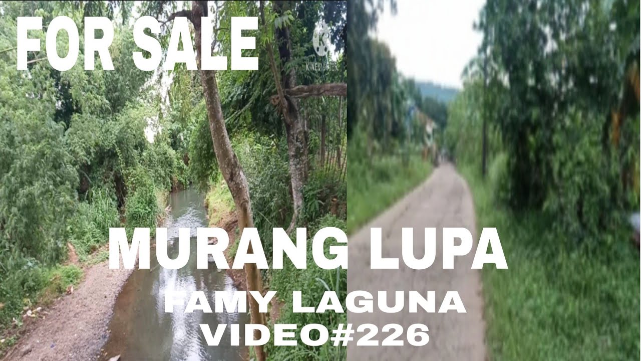 #15 HECTARES FARM ALONG THE ROAD #ALONG THE CREEK #WITH ASSORTED FRUIT BEARING
