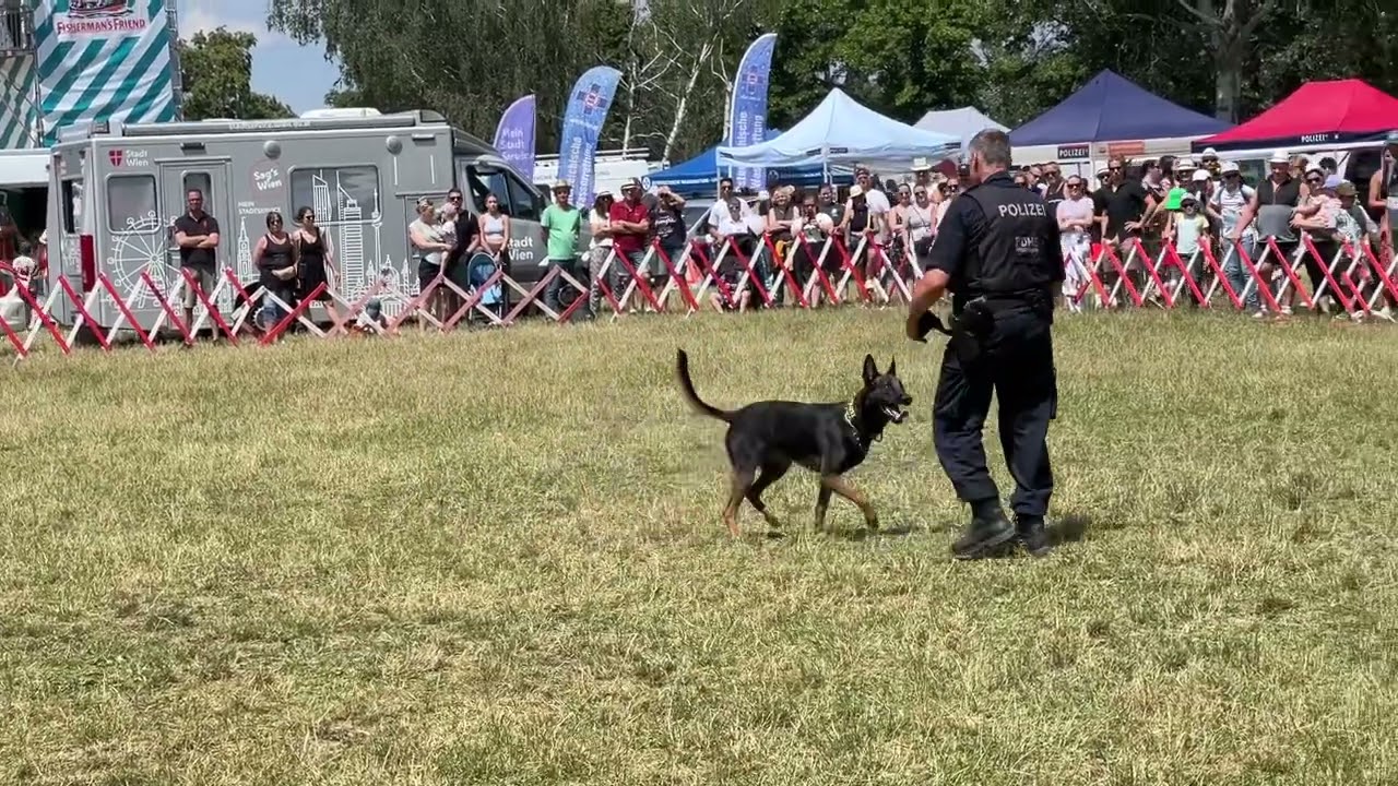 Vorführung der Polizei Hunde Staffel der Polizei Wien