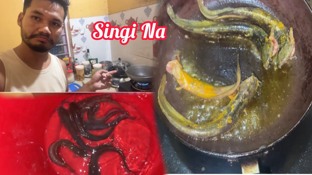 Singi Na Jwng Songna Jahwbai Hinjaoya Lwm Jana Durbol Jana Dong 🥰
