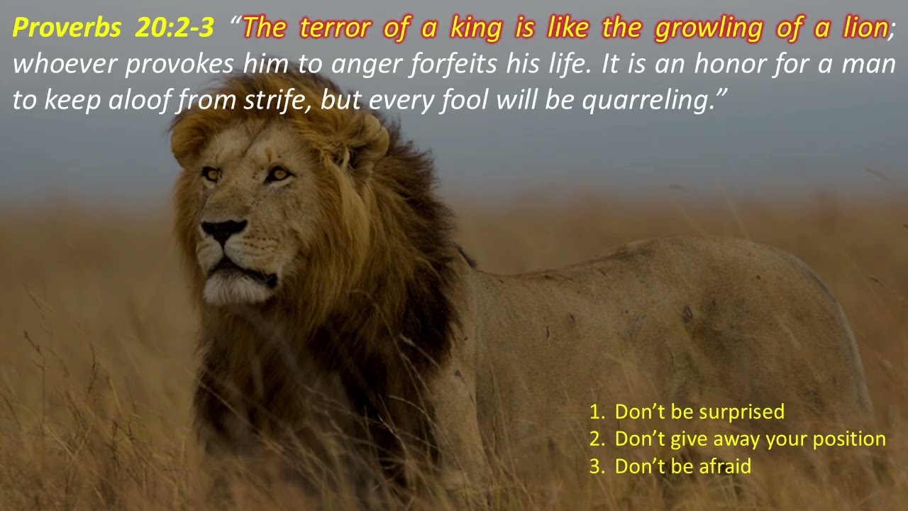 Proverbs 20:2-3, On Staying out of Trouble