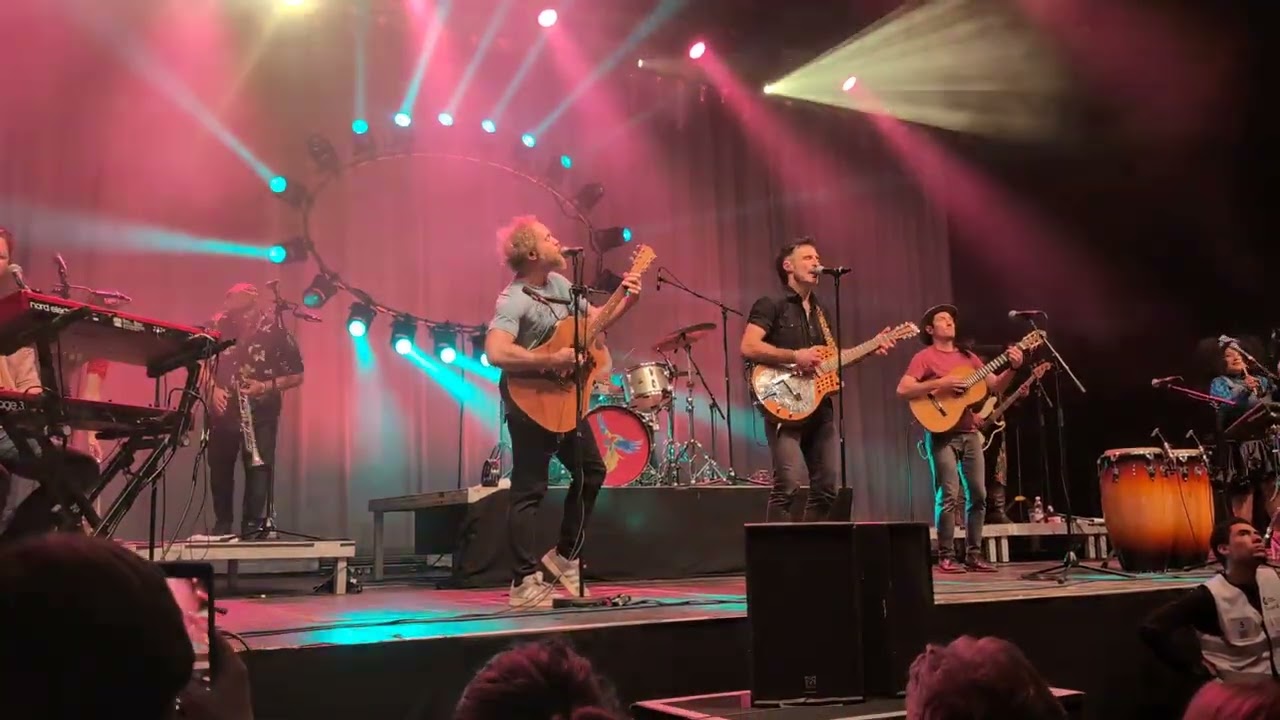Кошачья империя — Owl Live Wien 2025