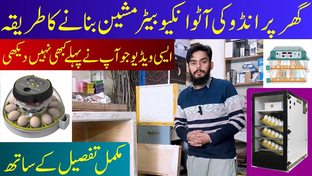 How to make full automatic egg incubator at home | Detail video | #hatching #eggincubator #farming