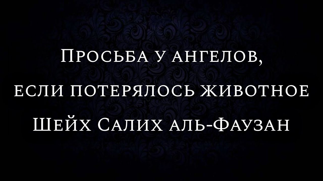 Просьба у ангелов, если потерялось животное | Шейх Салих аль-Фаузан
