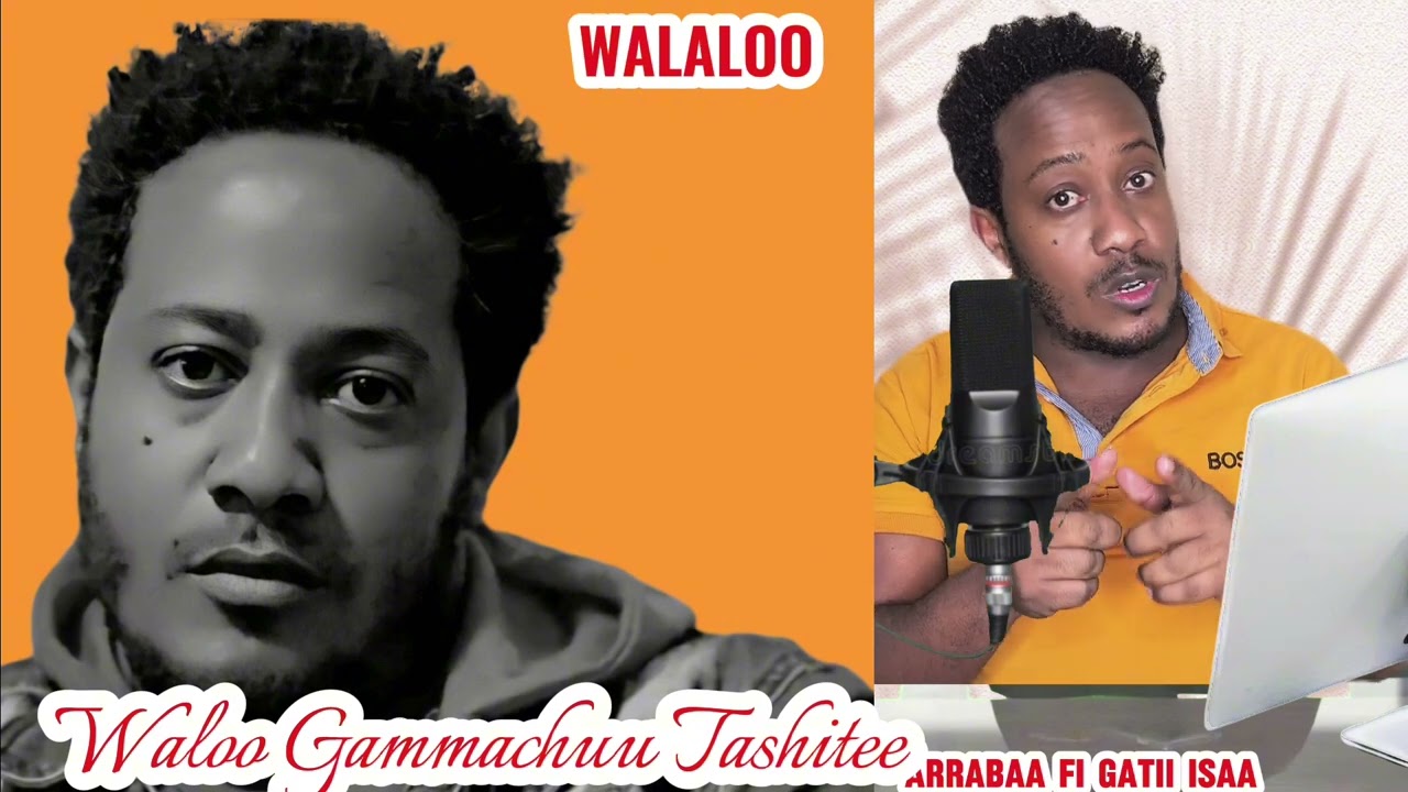 Wolaloo Gammachuu Tashitee part 1 #gammachuu_tashitee #afaan_oromoo #jaalala