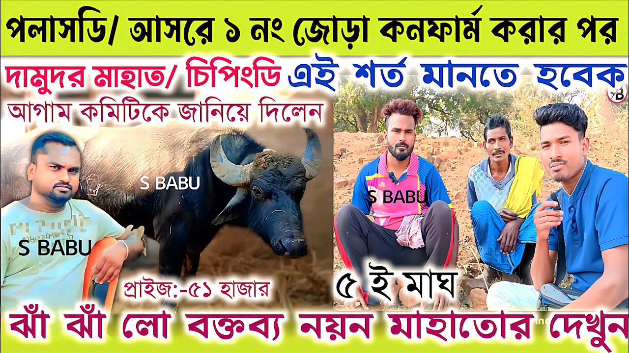 পলাসডি/আসরে ১ নং জোড়া কনর্ফাম করার পর👉নয়ন মাহাত✴️পলাসডি কমিটিকে আগাম শর্ত জানিয়ে দিলেন দেখুন
