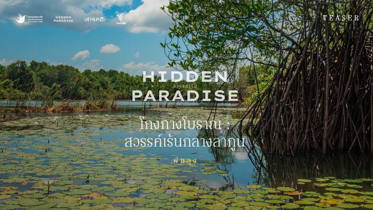 Hidden Paradise Promo EP 1 - โกงกางโบราณ : สวรรค์เร้นกลางลากูน