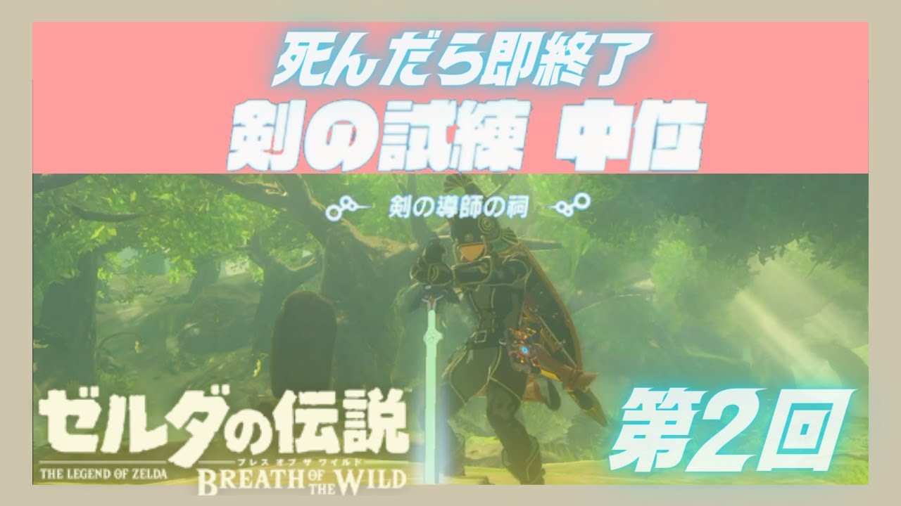 【ブレワイ】-死んだら即終了- 戦闘ド下手の剣の試練 中位 第２回戦  / ゼルダの伝説 ブレスオブザワイルド