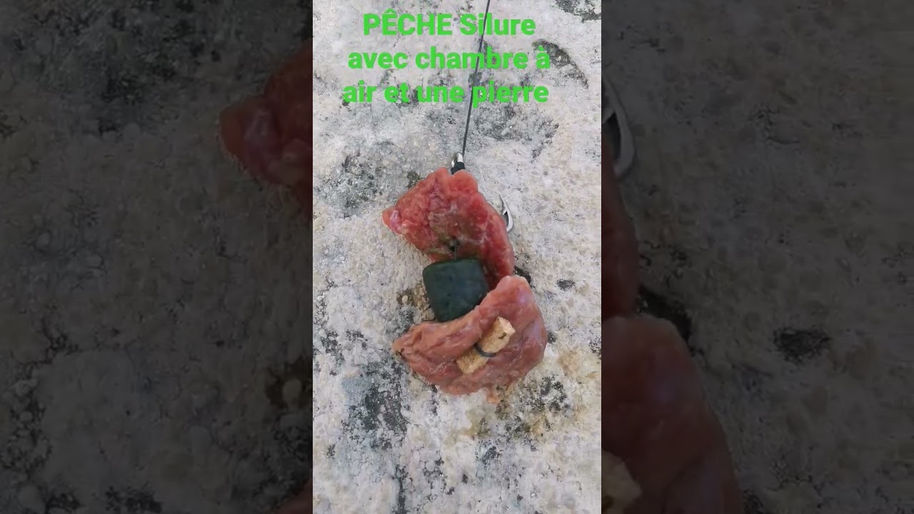 P&Ecirc;CHE Silure lest&eacute; avec morceaux de chambre a air et pierre
