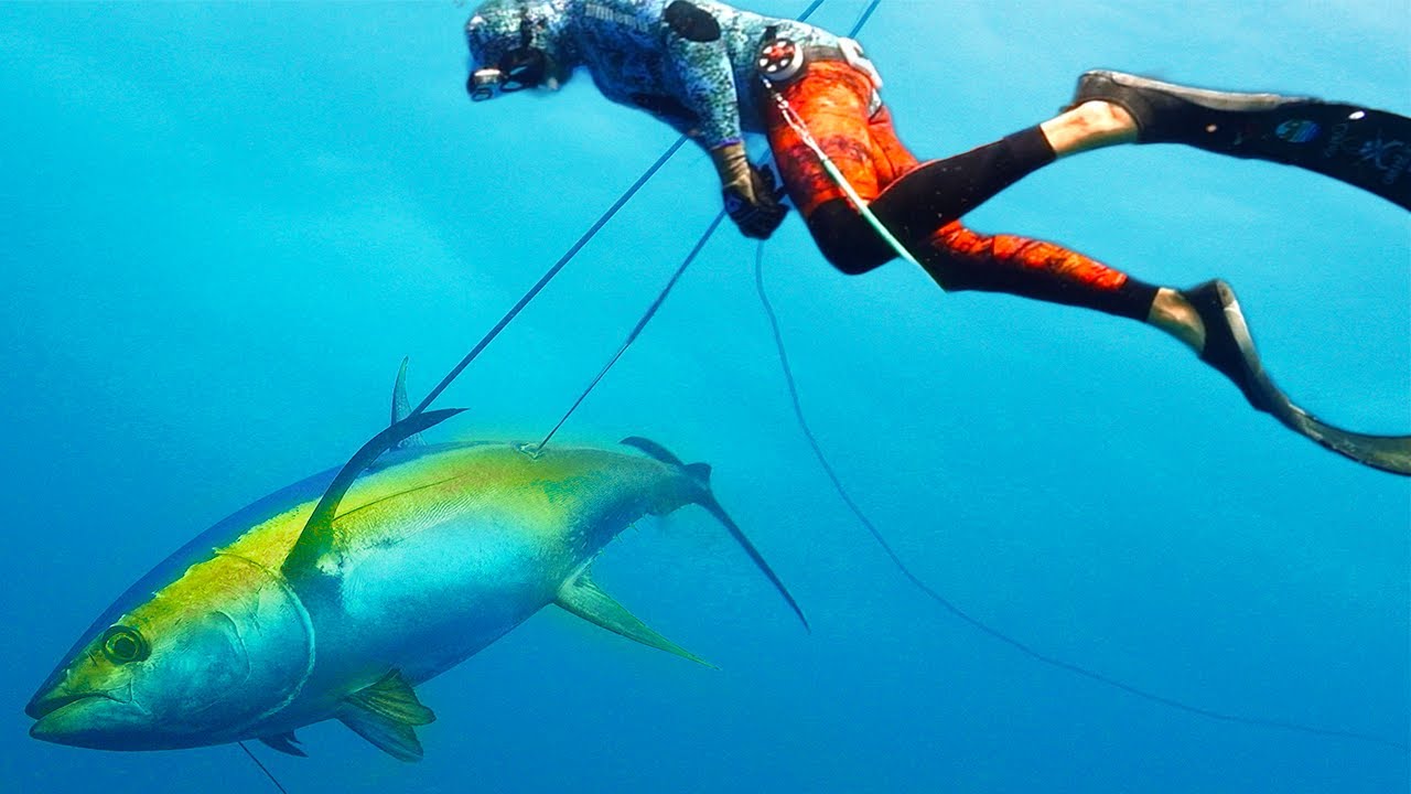 Searching To Spear 400 Pound FISH! Will We Find One? 