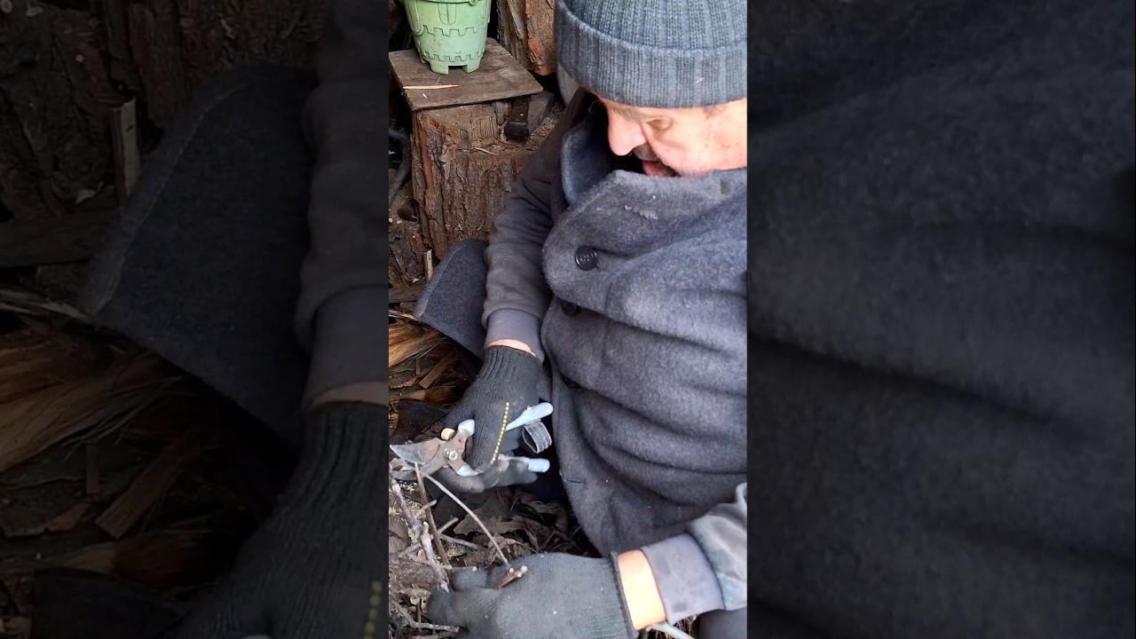 Mastering the Pruning Shears Technique