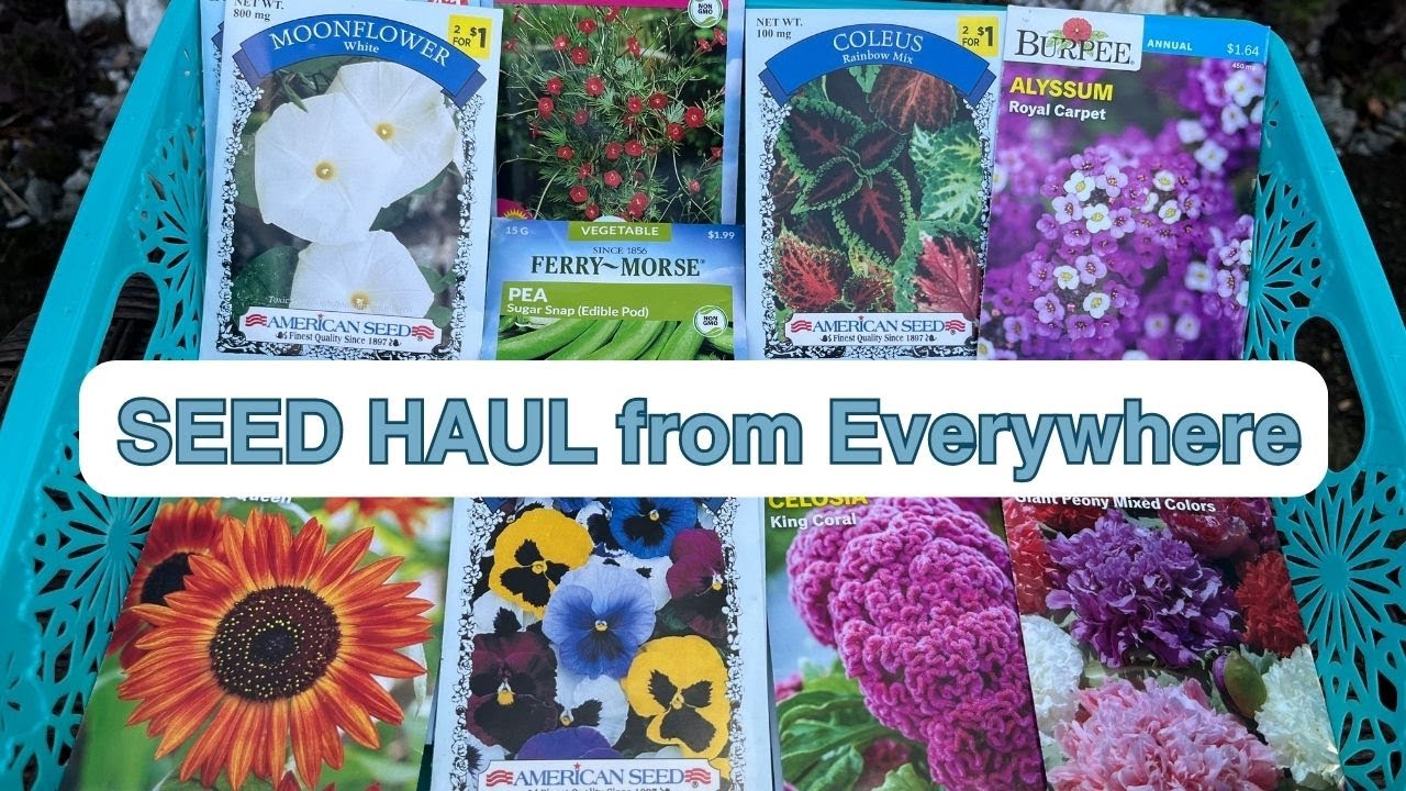 NEW Seed HAUL for my 2024 Garden