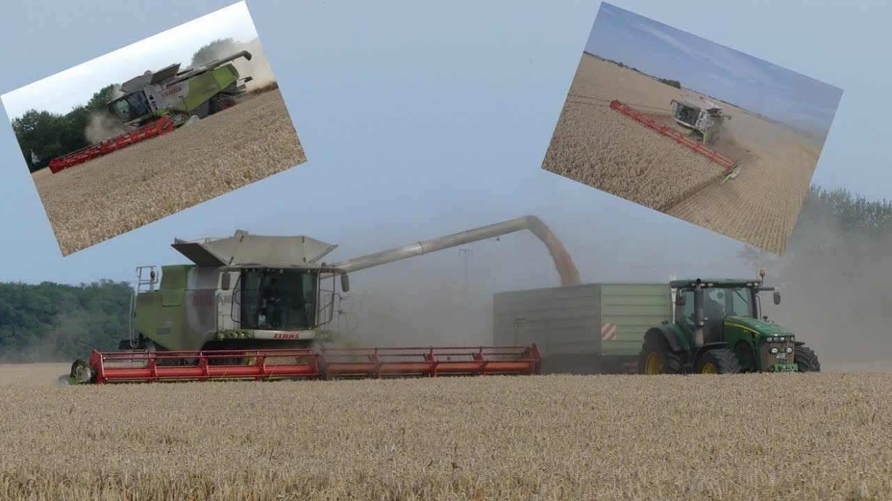 XXL Weizenernte auf der Insel Rügen mit 2xLexion 770 TerraTrac und JohnDeere Power