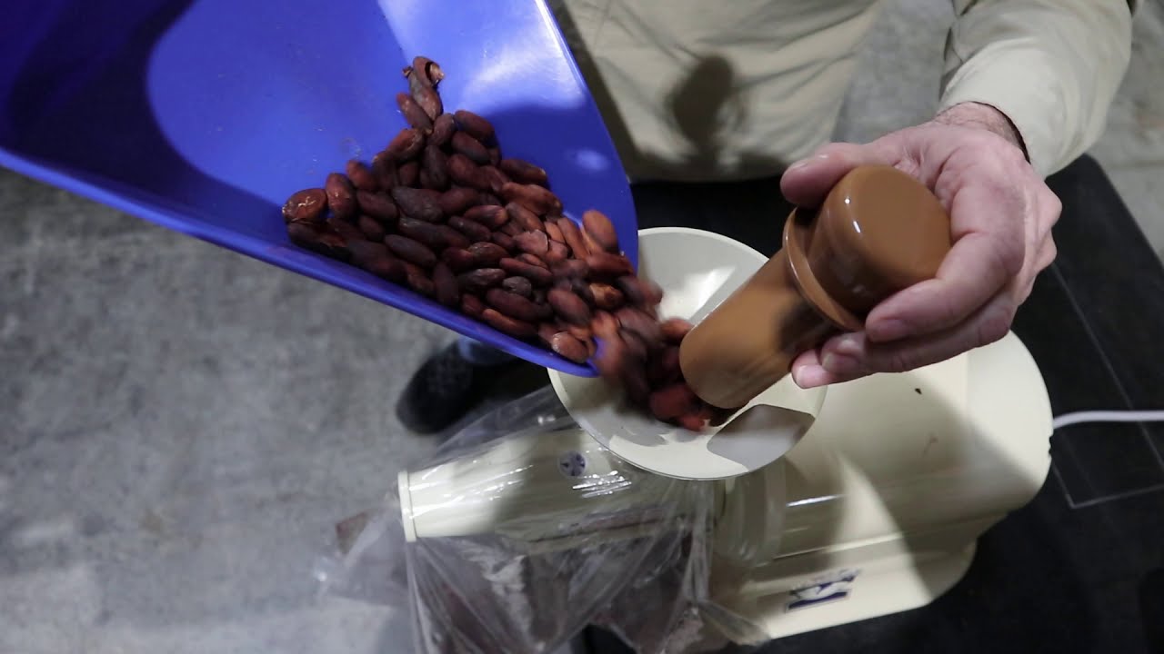 Cacao Cracking