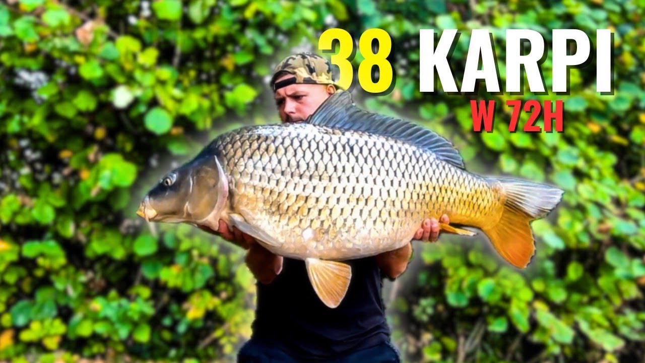 Jesienne Eldorado na Łowisku Rusiec😎 38 Karpi w 72 h 🙉 The Great Baits 💪 ❗️KONKURS❗️