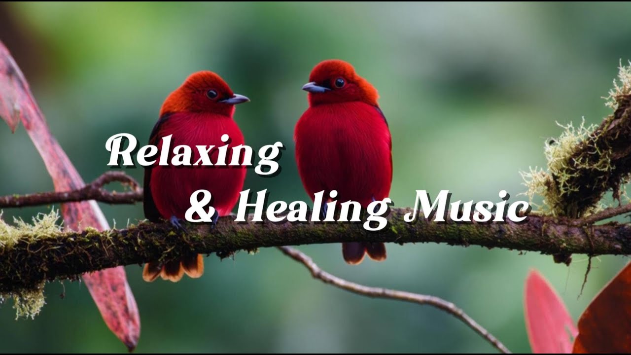 Relaxing Music for Sleep & Focus | Calm Your Mind, Study with Guianan Red Cotingas