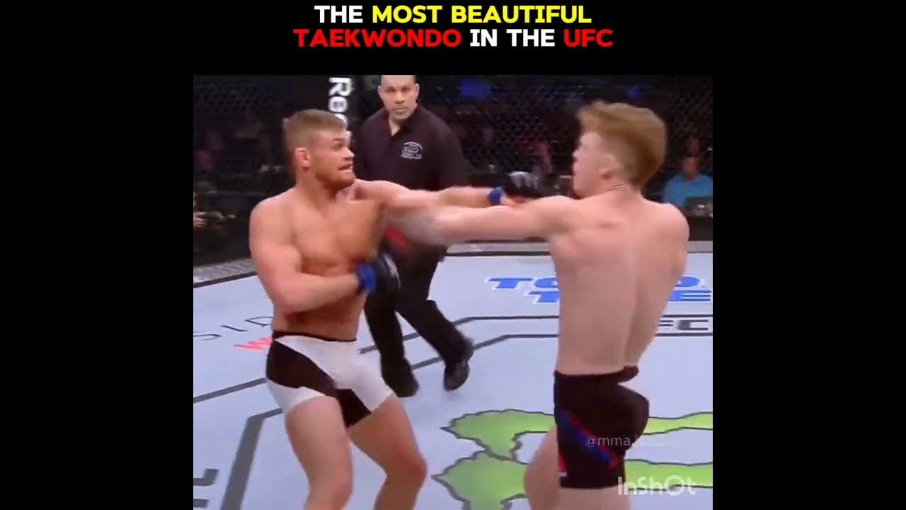 Taekwondo in MMA #taekwondo #tkd #mma#ufc#striking #fight#fightingsport
