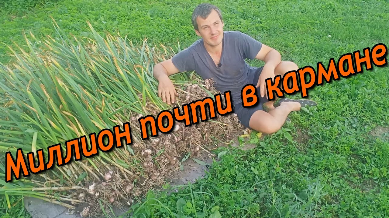 А говорили, что ничего не получится...   МИЛЛИОН ПОЧТИ В КАРМАНЕ!
