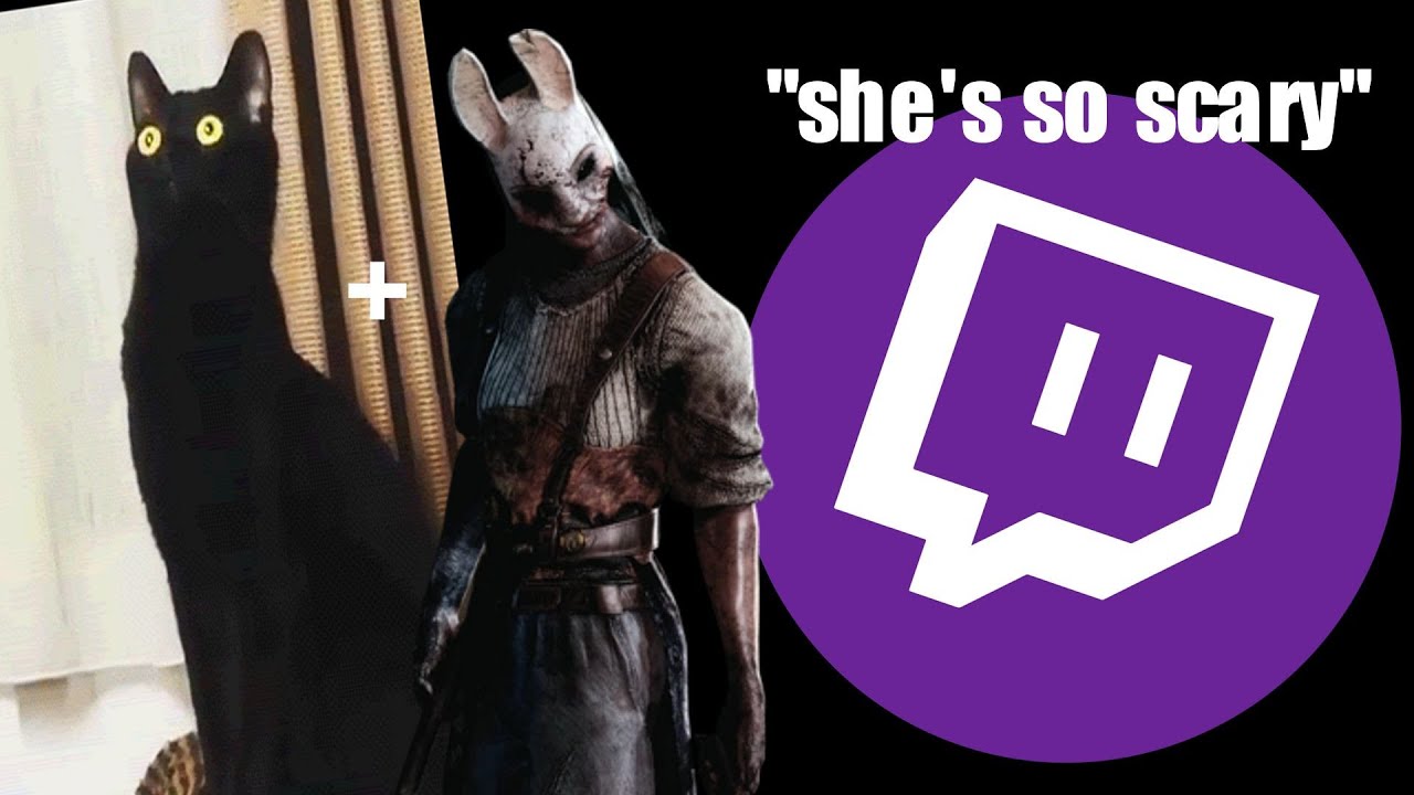 Terrorizing Twitch Streamers as Cat Huntress 2 || Dead By Daylight