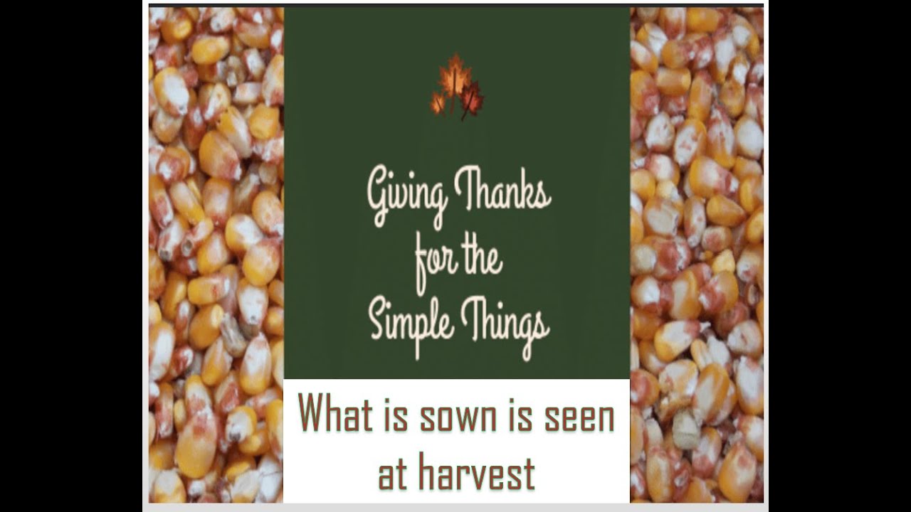 Thanksgiving is Worship