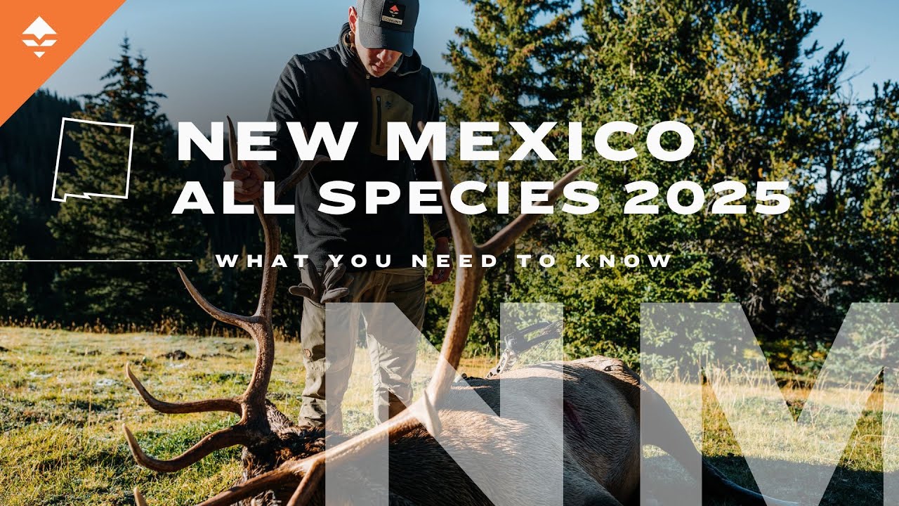 Hunting Big Game in New Mexico Explained! | Watch This Before You Apply