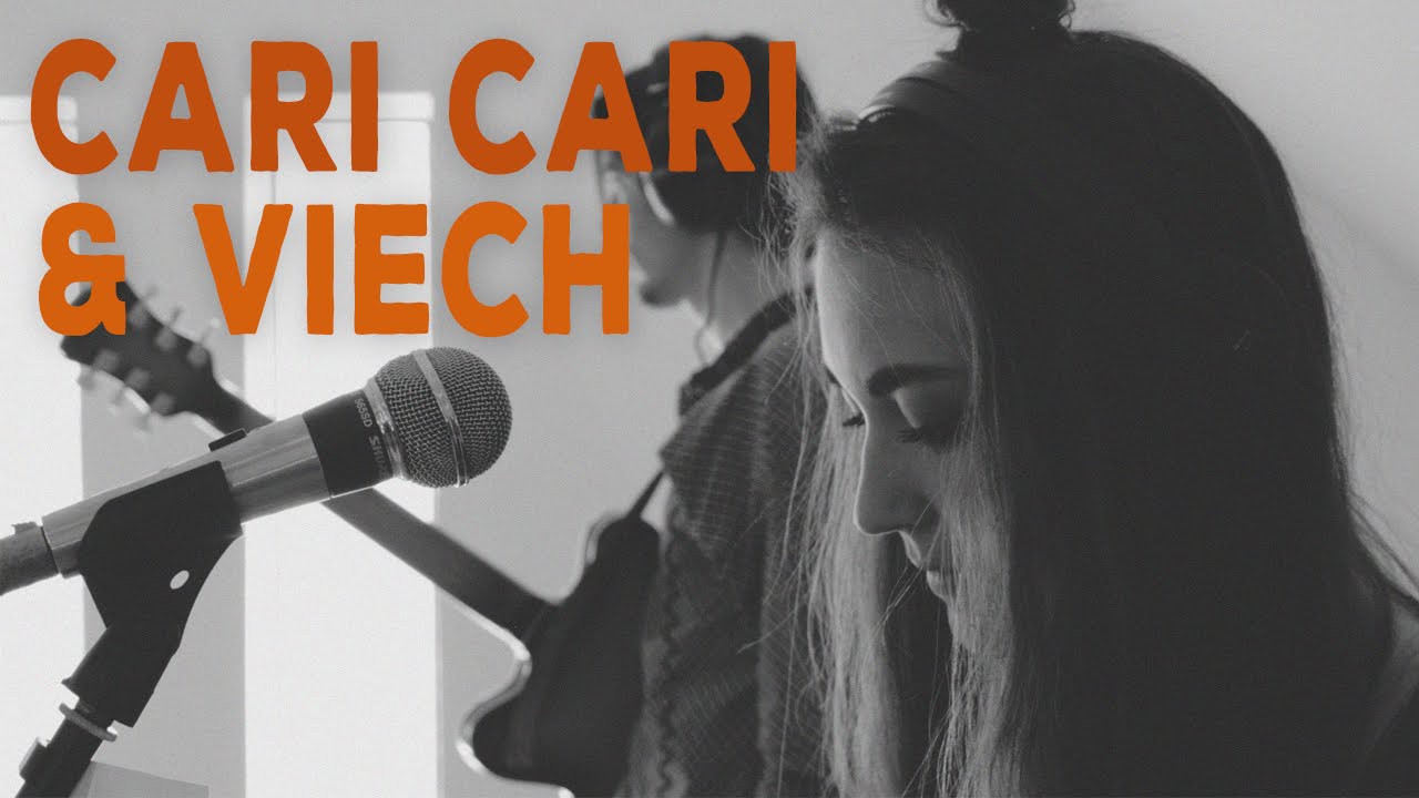 Kreisky - Vandalen (Cari Cari x VIECH Cover)