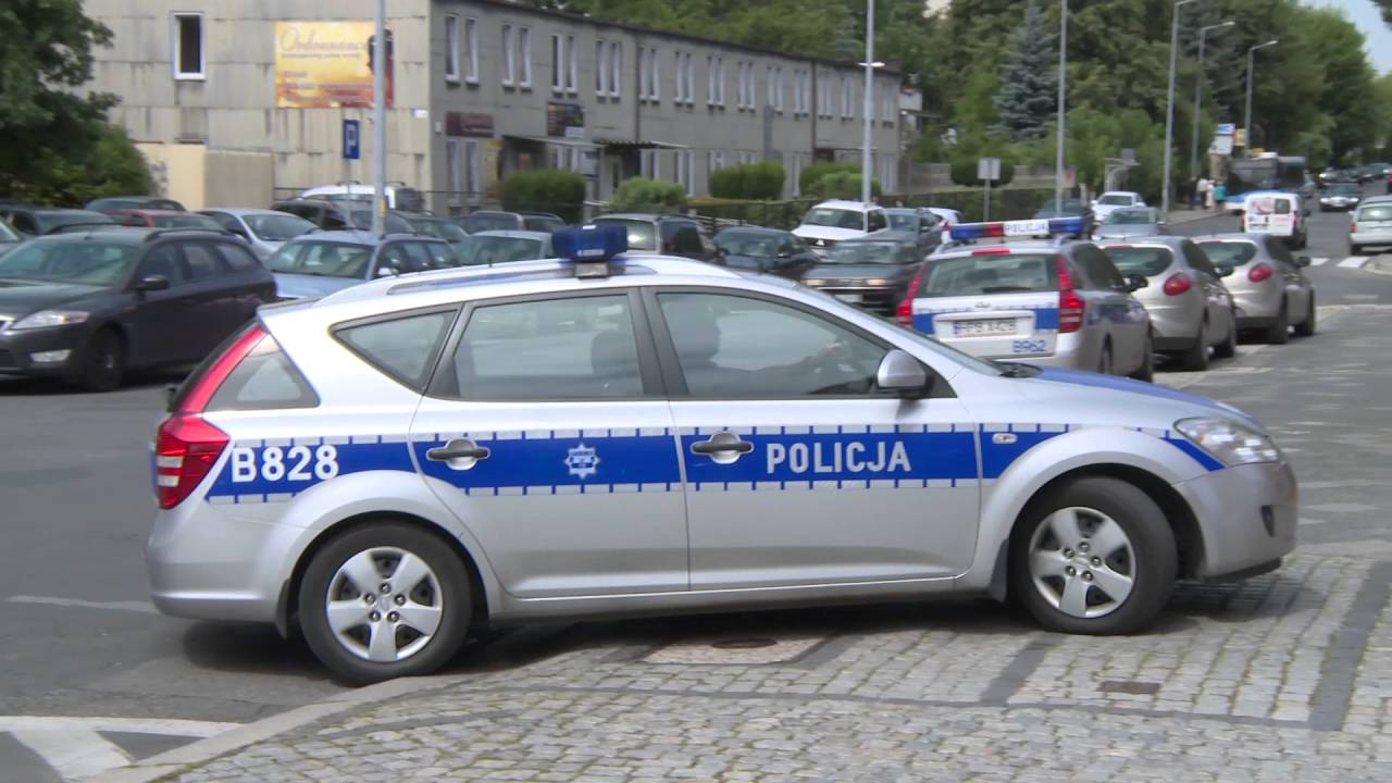 LEGNICA. Plantacja marihuany w środku lasu