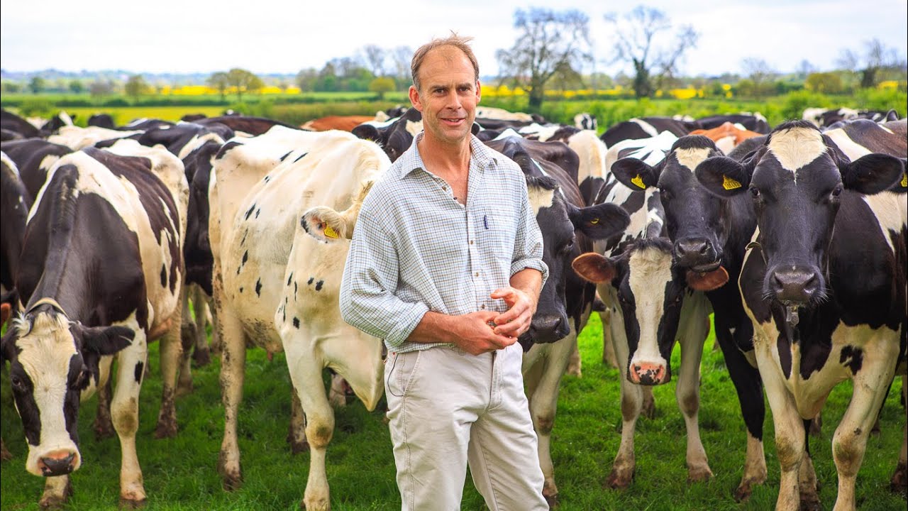 Cheese: The Art of Ripening at Neal's Yard Dairy