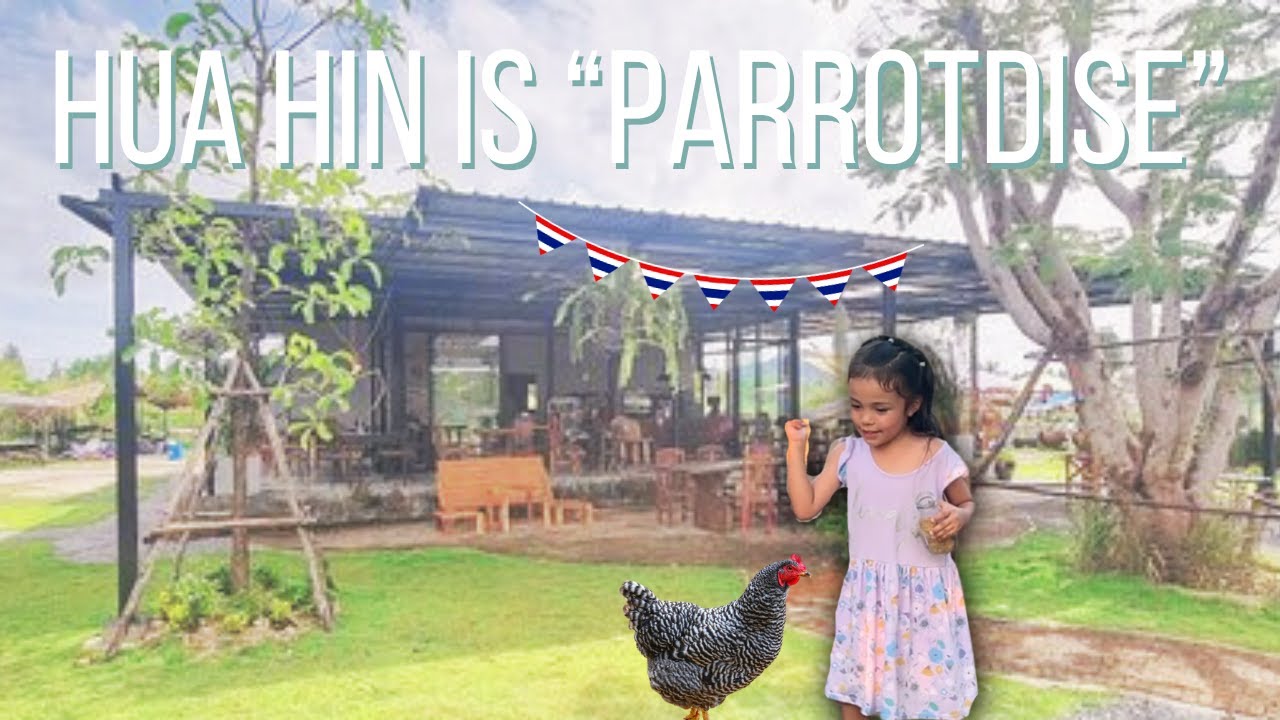 Our THAI-AMERICAN Family lives in Paradise HUA HIN | AMWF Vlogmas THAILAND